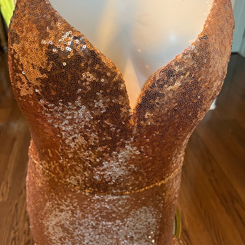 Rise gold Sequin dress
